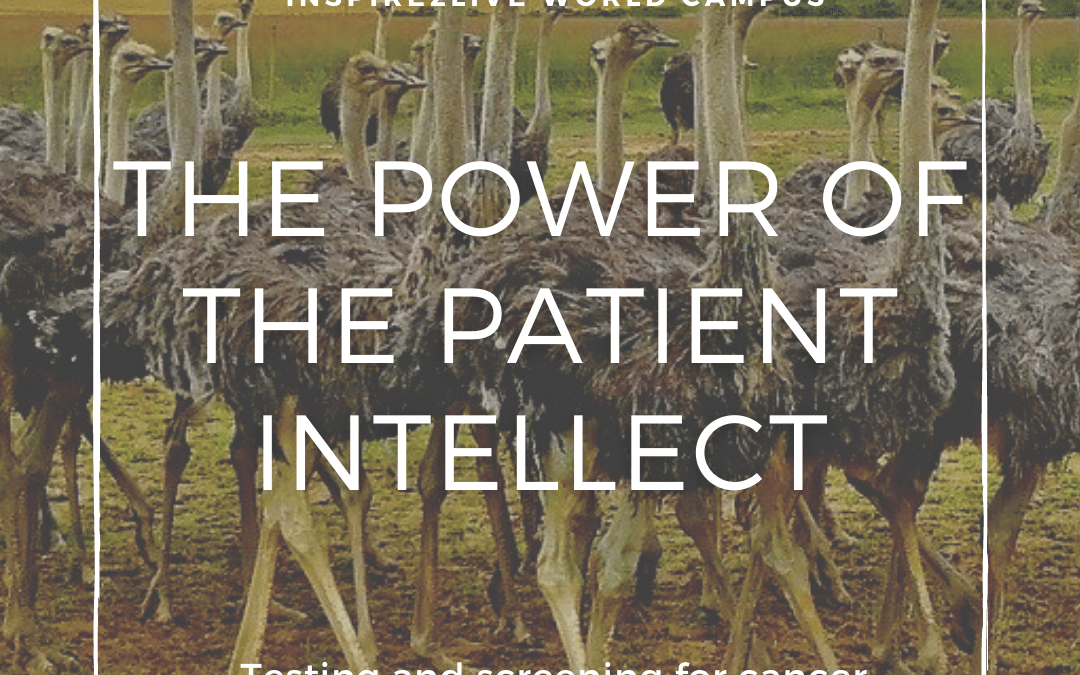 The Power of the Patient Intellect