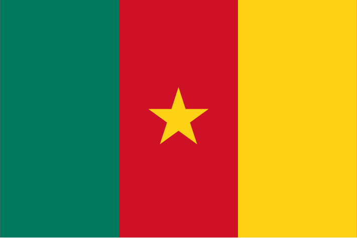 Cameroon Flag of Cameroon